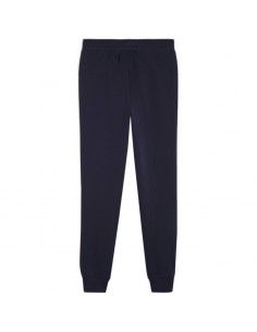 Puma Team Goal Casuals M 658598 06 pants 2