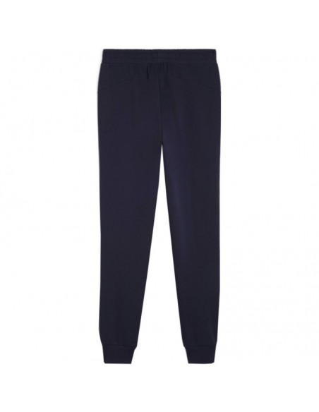 Puma Team Goal Casuals M 658598 06 pants