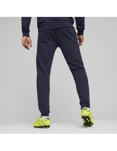 Puma Team Goal Casuals M 658598 06 pants