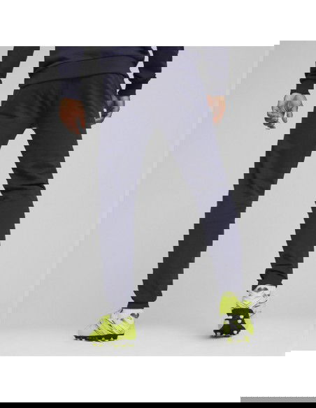 Puma Team Goal Casuals M 658598 06 pants