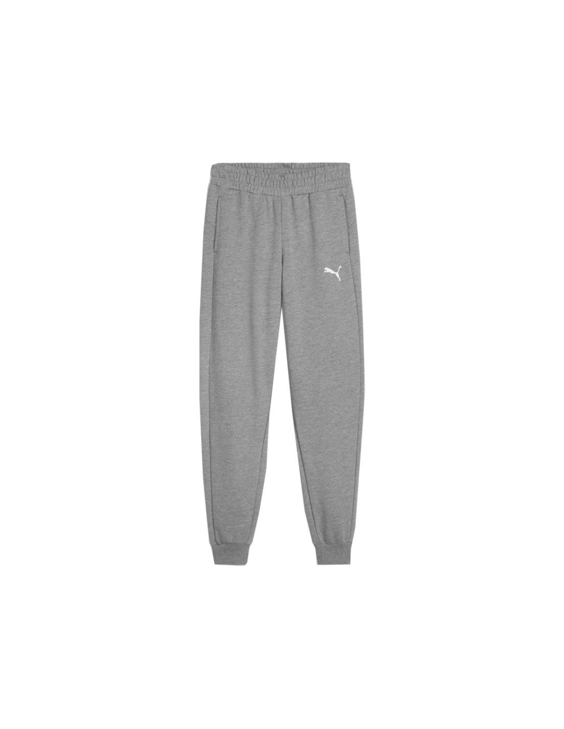 Puma Team Goal Jr pants 658601 33