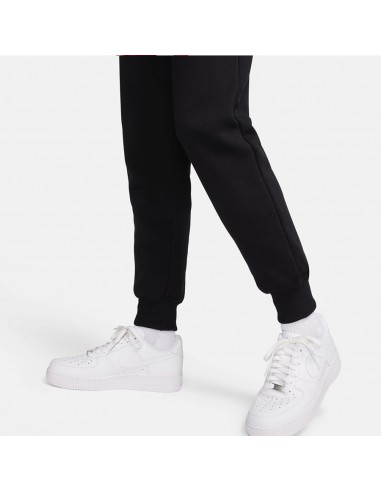 Nike Sportswear Phoenix Fleece FZ7626010 pants