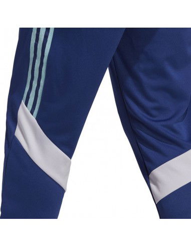 Adidas Tiro M HS7489 pants
