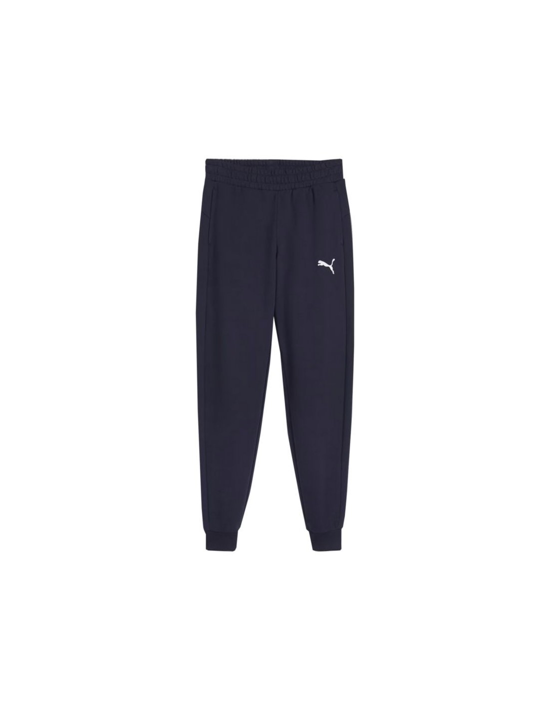 Puma Team Goal Jr pants 658601 06