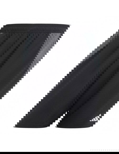 Adidas Tiro 24 DT M IP5594 shorts