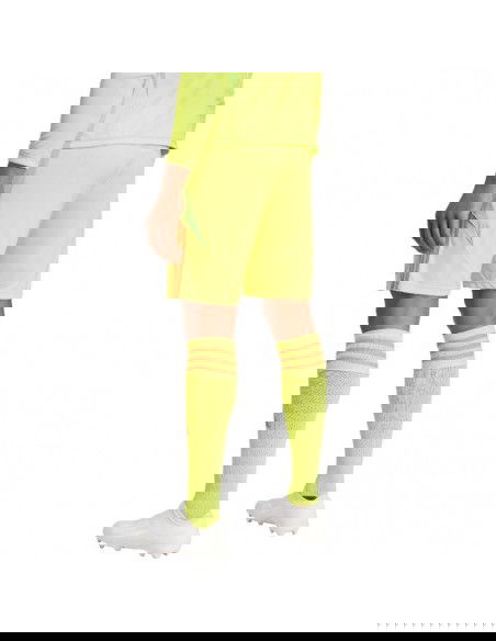 Adidas Tiro 24 IT2415 shorts