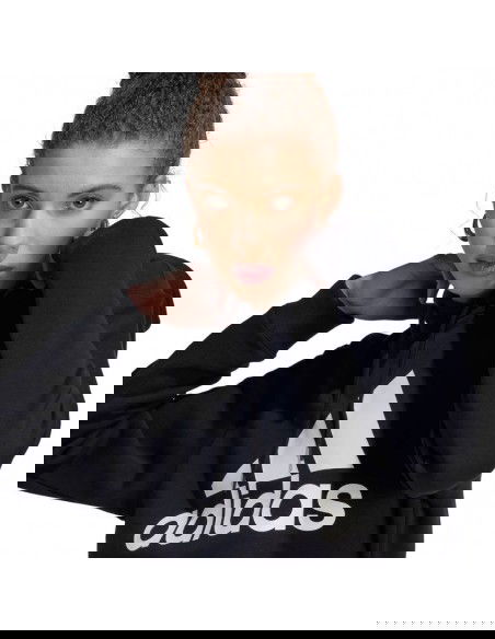 adidas Essentials Big Logo Regular Fleece W HZ2984 sweatshirt