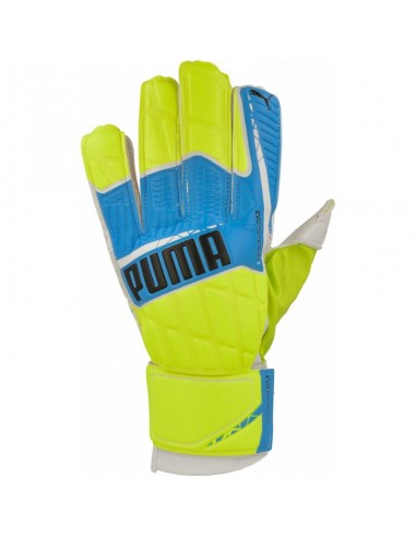 Goalkeeper gloves Puma evoSPEED 54 04117103