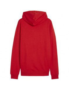 Puma Team Goal Casuals Hoody M 658618 01 2