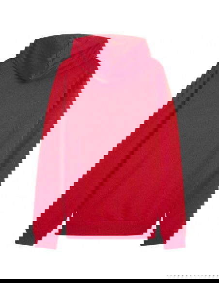 Puma Team Goal Casuals Hoody M 658618 01