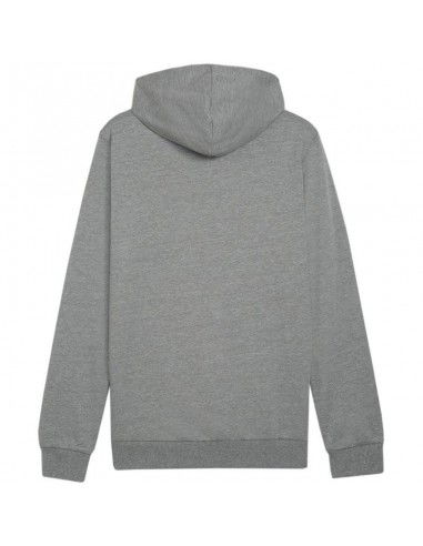 Puma Team Goal Casuals Hoody M 658618 33