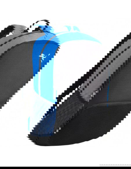 Puma Team Goal Premium backpack 90458 02