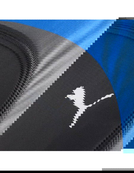 Puma Team Goal Premium backpack 90458 02
