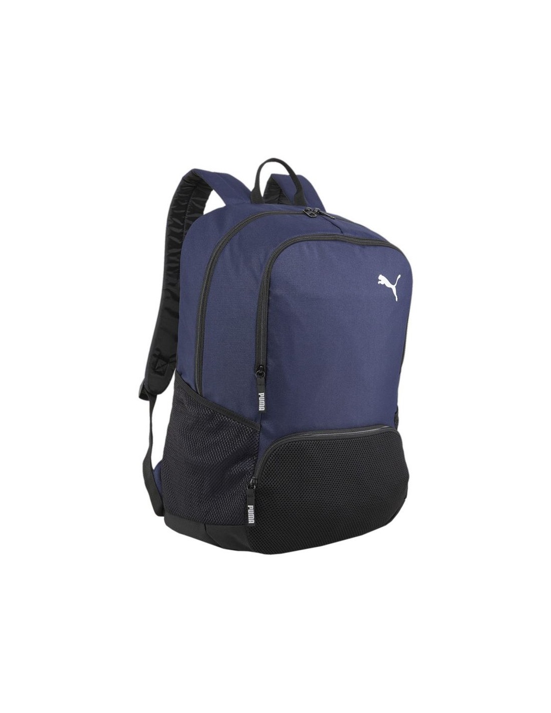 Puma Team Goal Premium backpack 90458 05