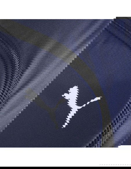 Puma Team Goal Premium backpack 90458 05