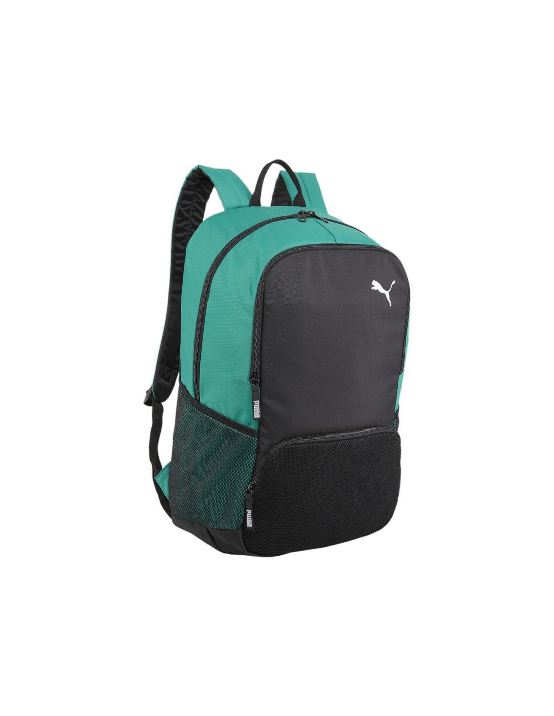 Puma Team Goal Premium backpack 90458 04