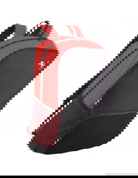 Puma Team Goal Premium backpack 90458 03