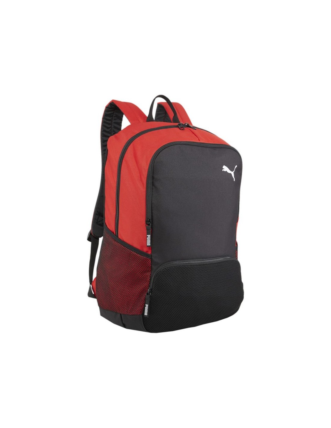 Puma Team Goal Premium backpack 90458 03