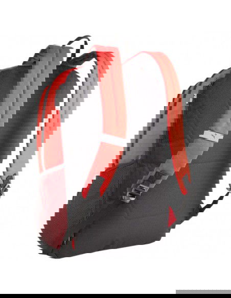 Puma Team Goal Premium backpack 90458 03