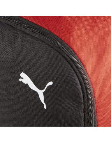Puma Team Goal Premium backpack 90458 03