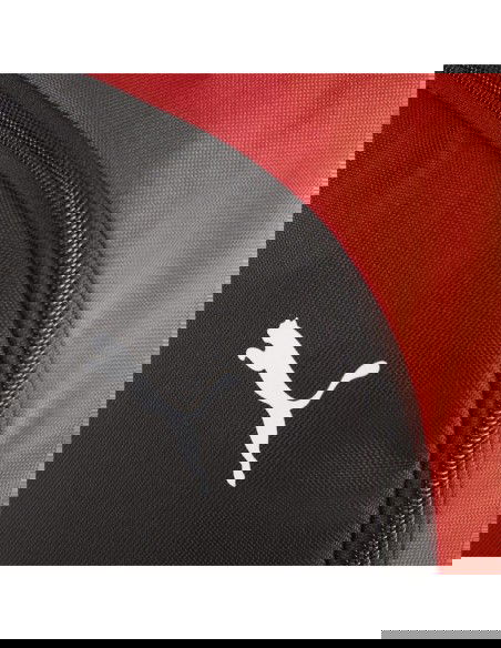 Puma Team Goal Premium backpack 90458 03