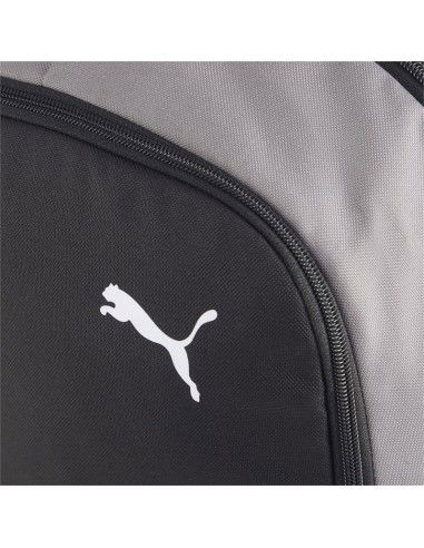 Puma Team Goal Premium backpack 90458 06