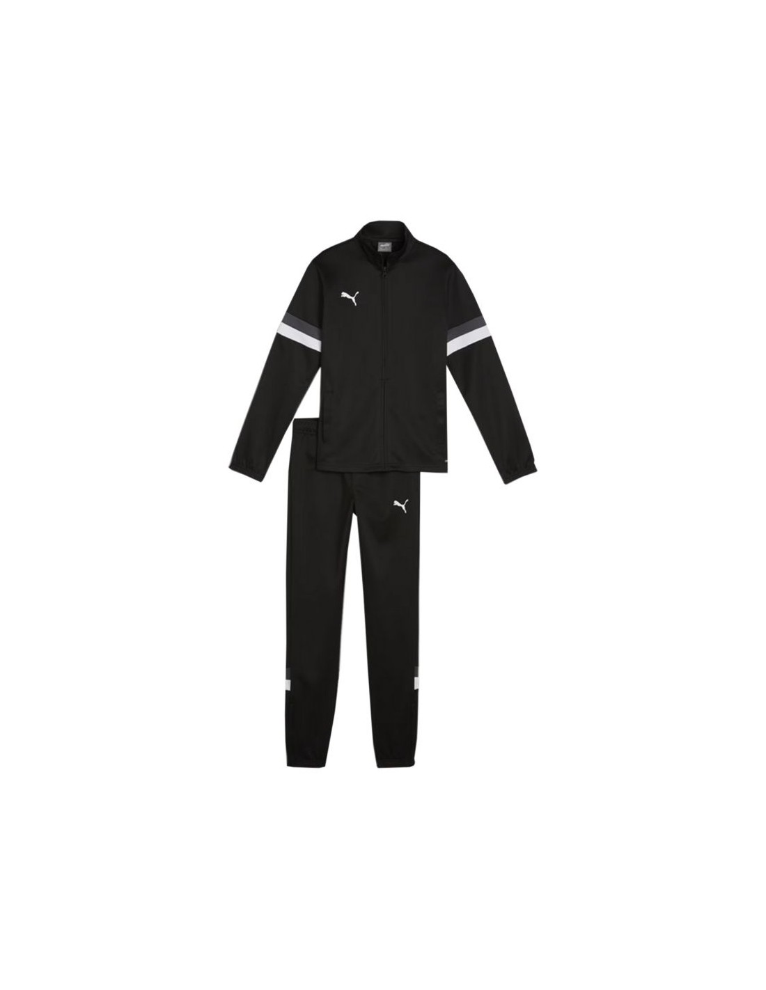 Puma Team Rise Jr Tracksuit 658655 03