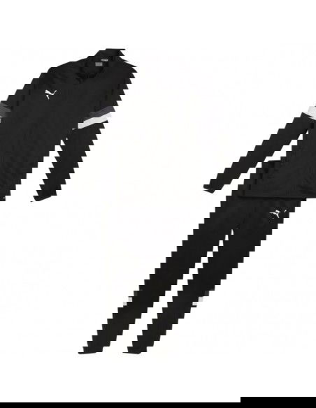 Puma Team Rise M tracksuit 658653 03