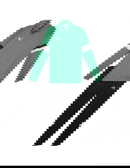 Puma Team Rise M tracksuit 658653 05