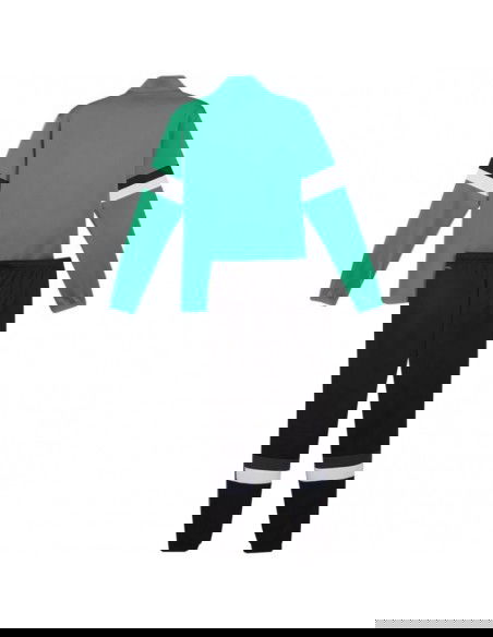 Puma Team Rise M tracksuit 658653 05