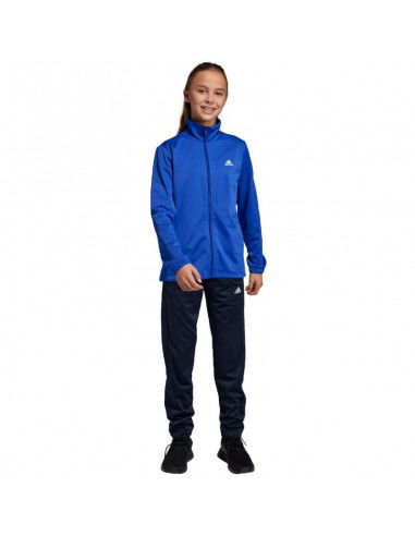 adidas Essentials Big Logo Track Suit Jr HR6408