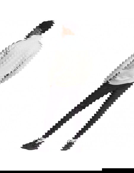 adidas Basic 3Stripes Fleece M IA3073 tracksuit