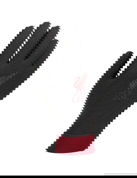 Nike Liverpool FC Thermafit HO23 Jr FQ4600010 gloves