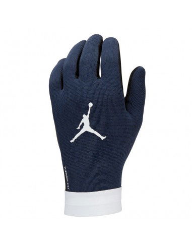 Nike PSG Academy Thermafit H023 FJ4859010 gloves