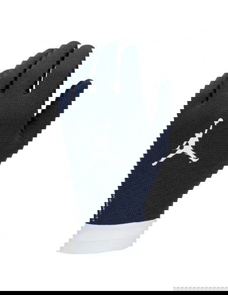 Nike PSG Academy Thermafit H023 FJ4859010 gloves