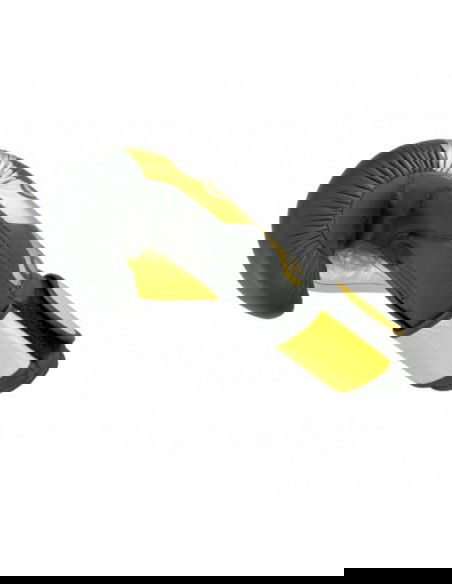 Boxing gloves Masters Rbt 01256Gold10