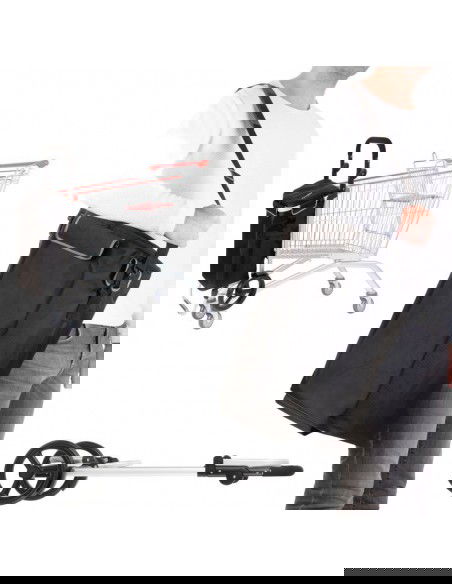 Allround Cruiser 650064 shopping trolley