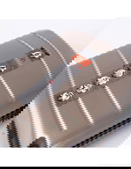 Iguana Murcia II 36 suitcase 92800479883