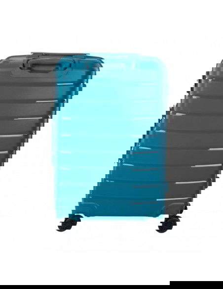 Suitcase Iguana Paris 60 92800405130