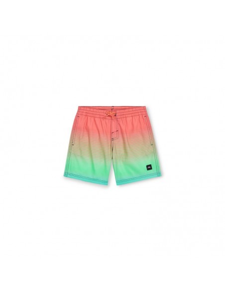 O'Neill Jack Cali Gradient 14'' Swim Shorts Jr 92800613570