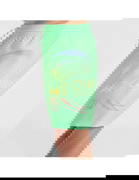 O'Neill Circle Surfer 14" Swim Shorts Jr 92800613206