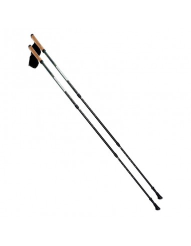 Nordic Walking poles Elbrus Cliogo 92800350260