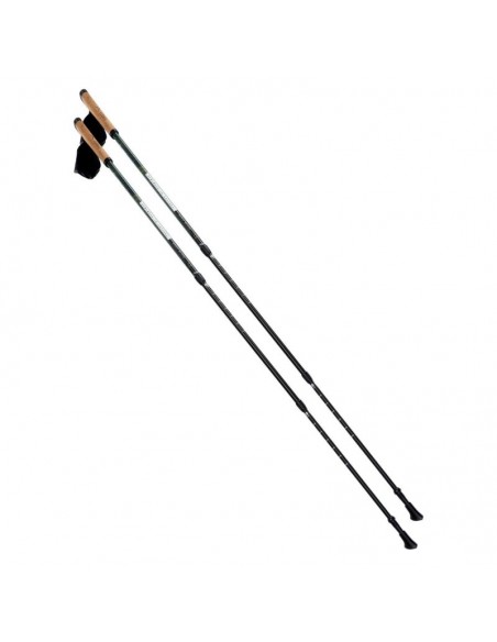 Nordic Walking poles Elbrus Cliogo 92800350260