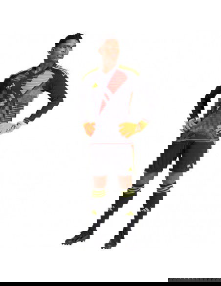 Adidas Tiro 24 Competition Long Sleeve goalkeeper shirt M IN0405