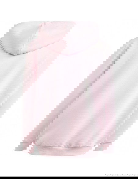 Adidas Allszn Gfx HD Jr sweatshirt IN2844