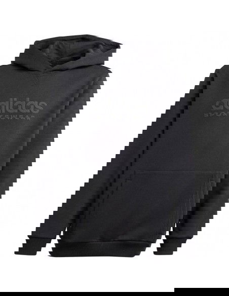 Adidas Allszn GFX HD Jr sweatshirt IS4661