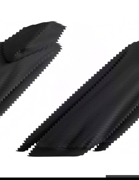 Adidas Allszn GFX HD Jr sweatshirt IS4661