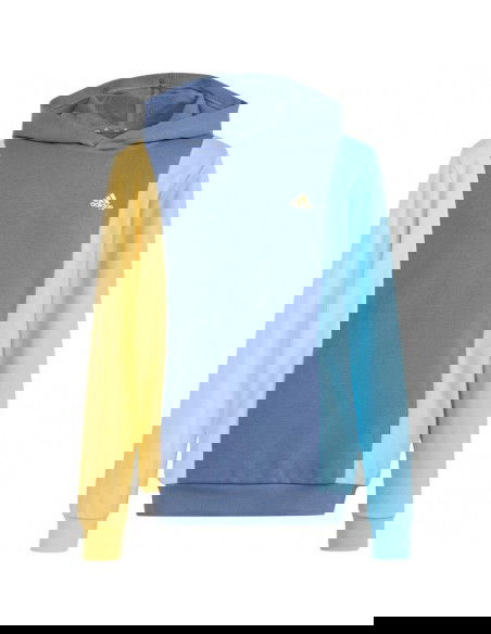 Adidas Cb Ft Hd Jr sweatshirt IS2689