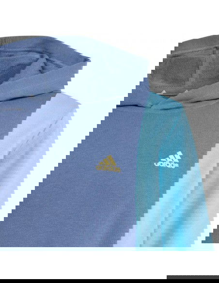 Adidas Cb Ft Hd Jr sweatshirt IS2689