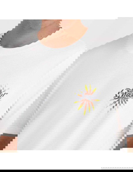 O'Neill Beach Graphic TShirt M 92800613984
